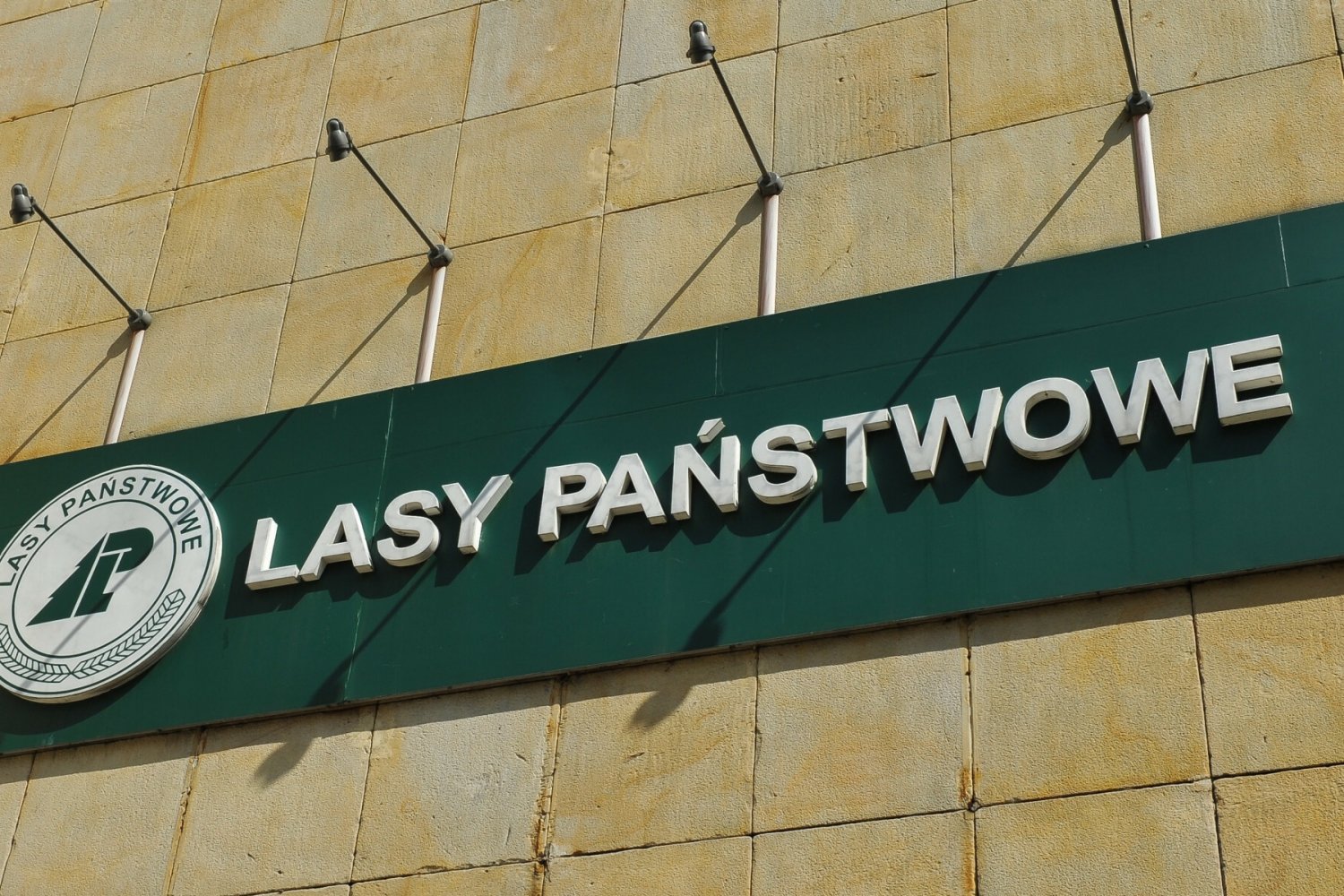 Logo na budynku Lasów Państwowych.