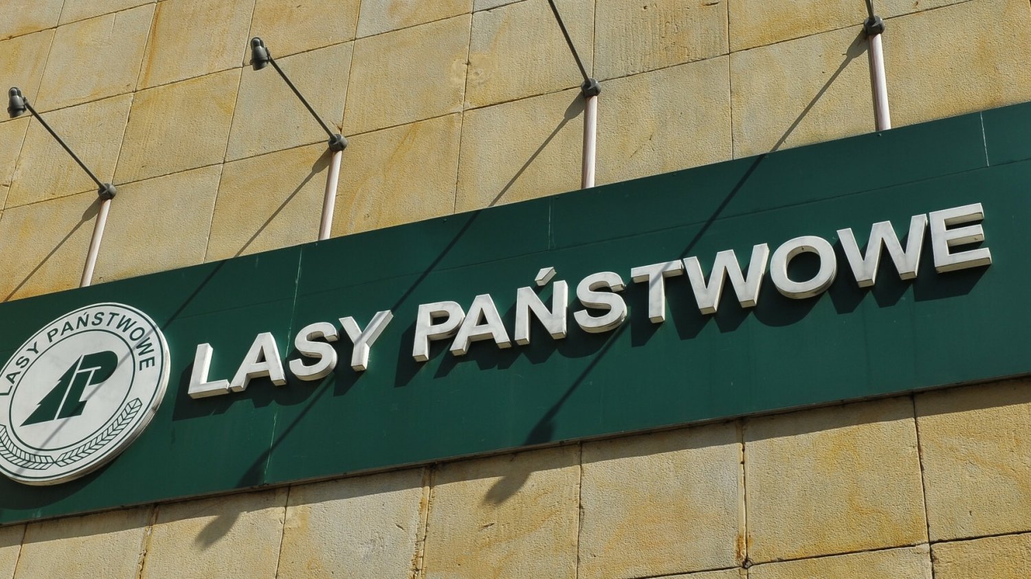 Logo na budynku Lasów Państwowych.