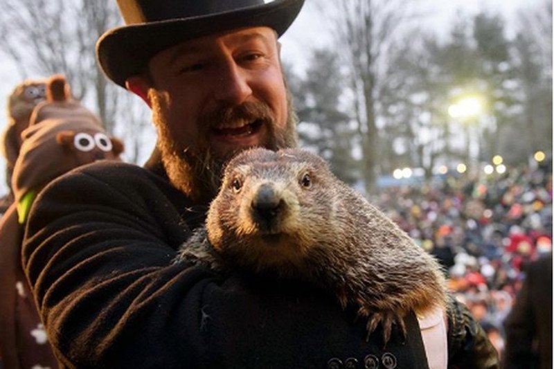 Świstak Phil przepowiedział szybkie przyjście wiosny