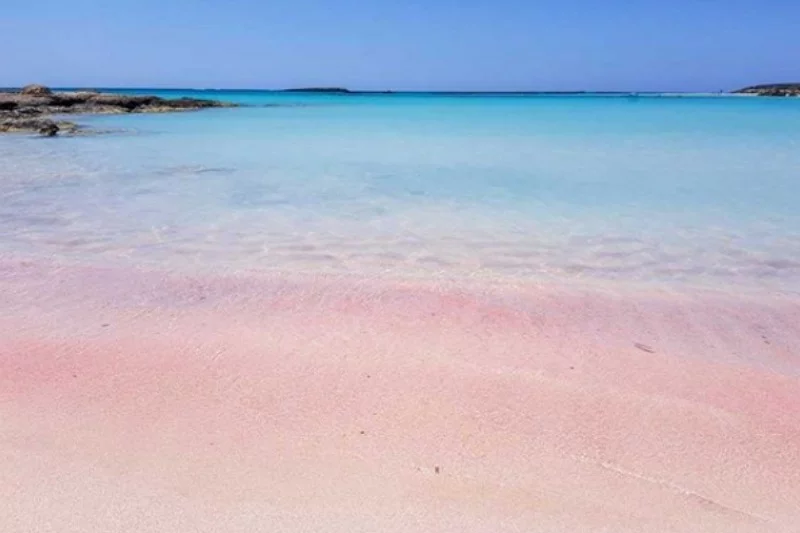 Wyjątkowy, różowy piach sprawia, że plaża jest bardzo często fotografowana