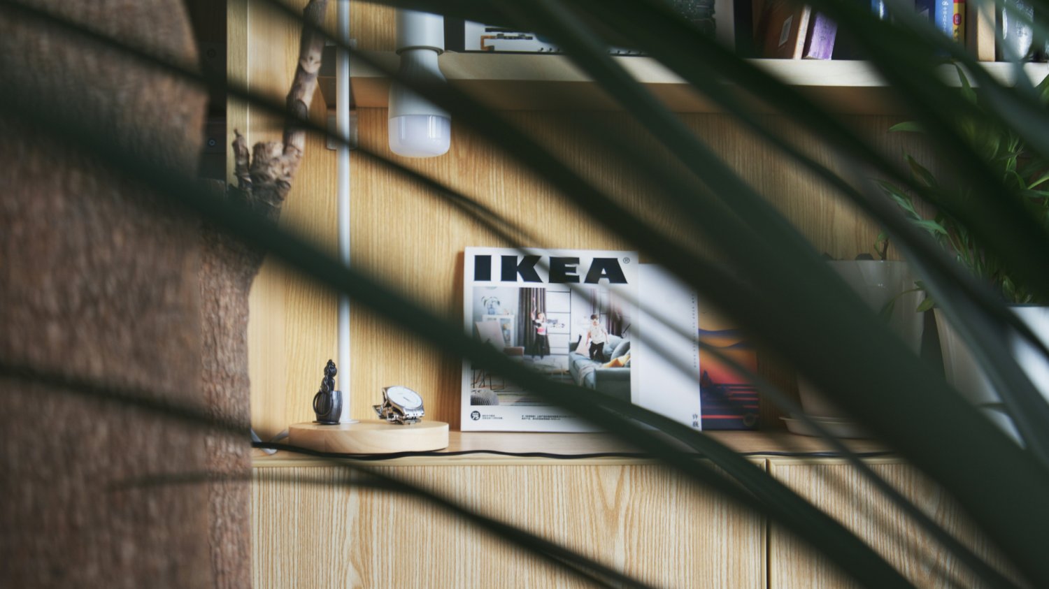 IKEA i Jysk to sposób na biedę. Mieszkania nie kupisz, ale marzenia jeszcze jak Drewniana półka, katalog IKEA