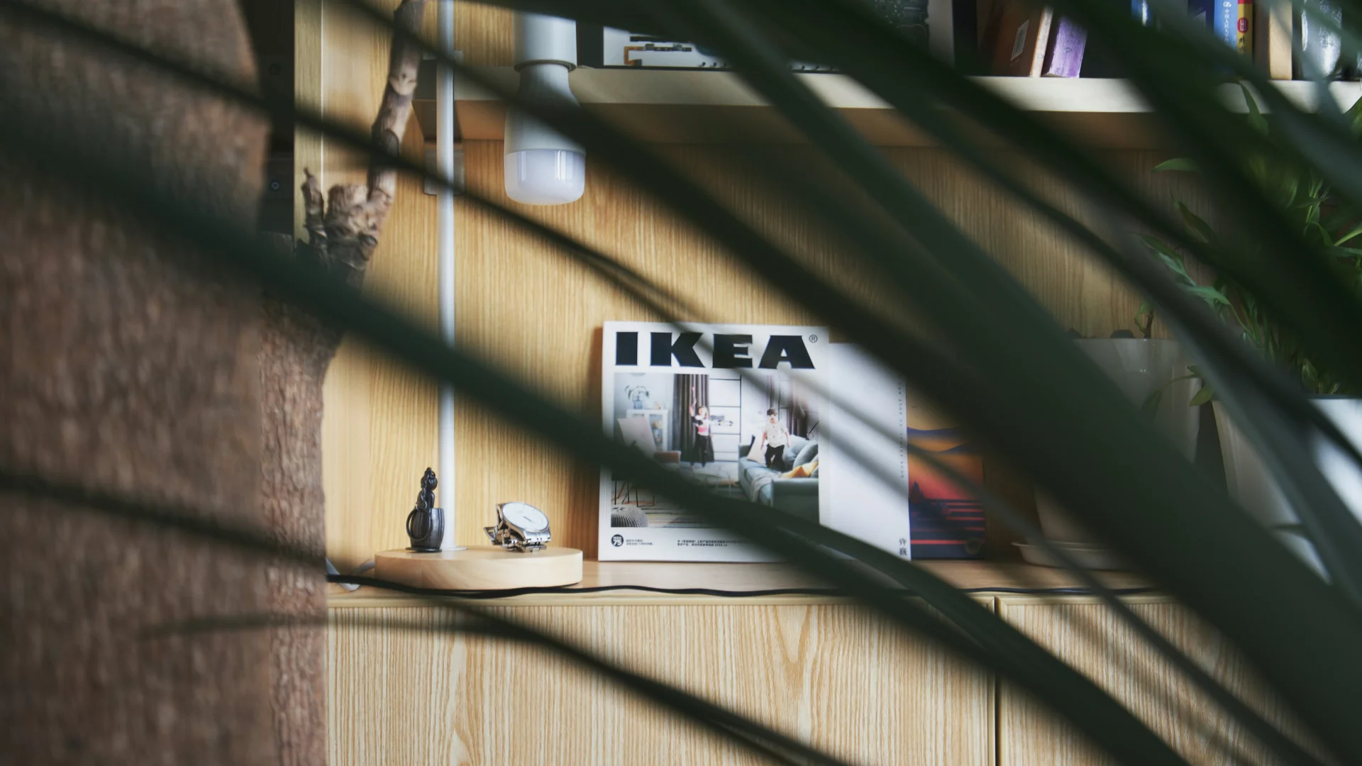 IKEA i Jysk to sposób na biedę. Mieszkania nie kupisz, ale marzenia jeszcze jak Drewniana półka, katalog IKEA
