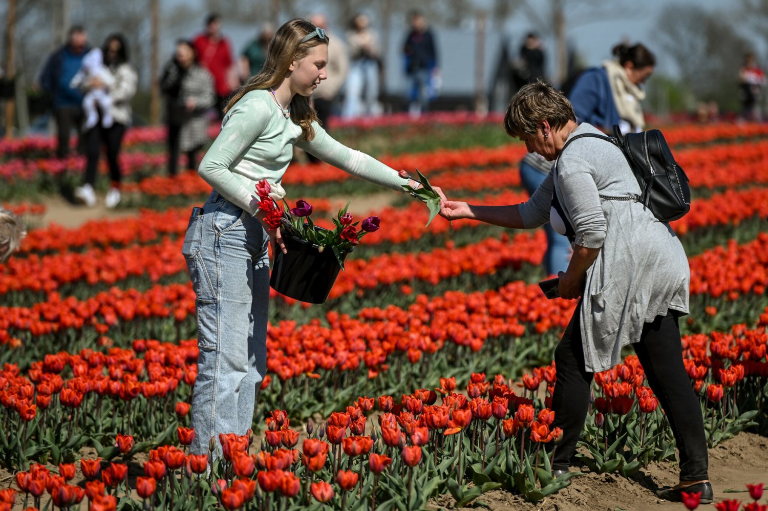 Pogoda na długi weekend majowy 2025. W tych rejonach będzie najcieplej.