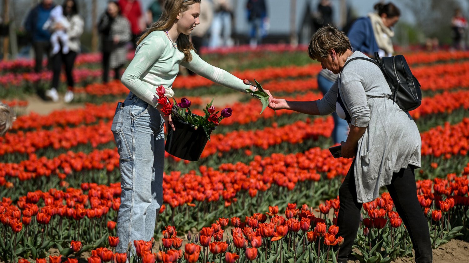 Pogoda na długi weekend majowy 2025. W tych rejonach będzie najcieplej.