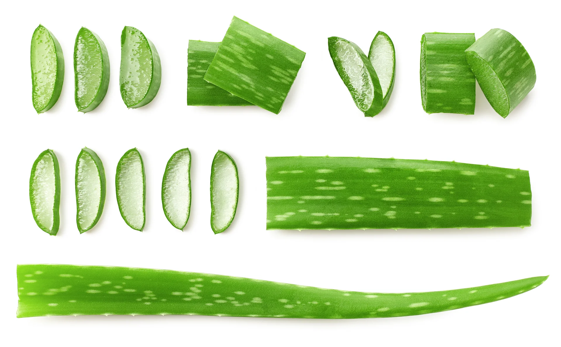 Aloes