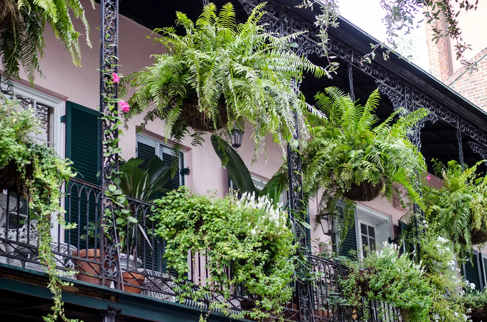 [url=http://shutr.bz/1qIVF0w] Ukwiecone balkony French Quarter [/url]