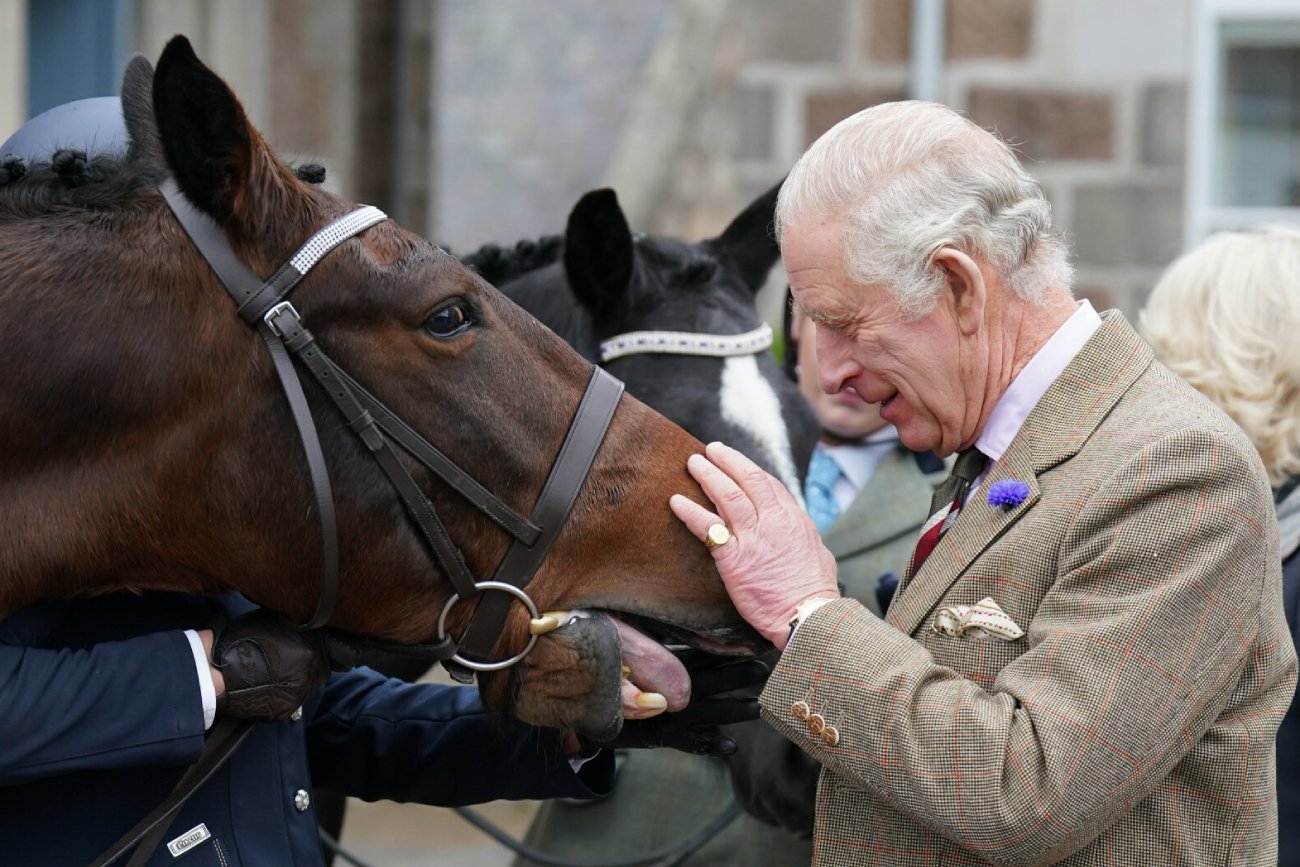 Karol III chce sprzedać ukochane zwierzęta Elżbiety II. Kosztują majątek