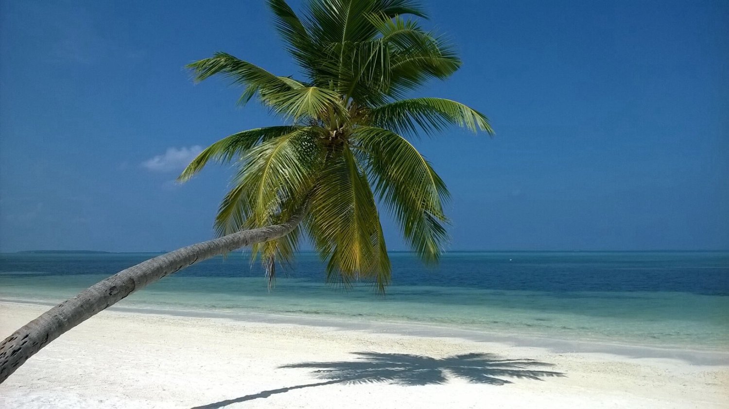 Malediwy to błękitne niebo, turkusowa woda i soczysta zieleń palm. A i zapomniałabym - biały, drobniutki piasek. Raj!
