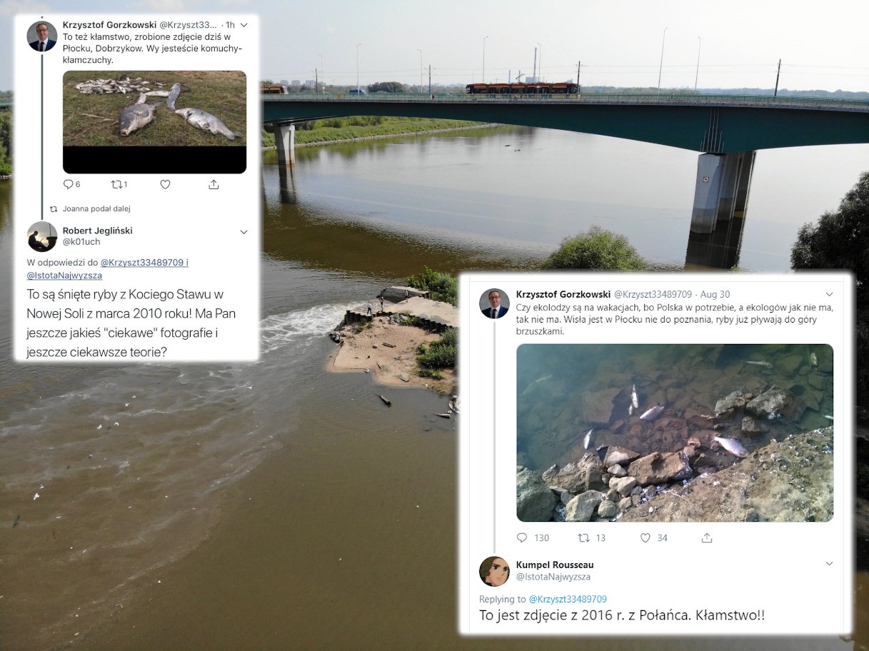 Działacz PiS Z Płocka Krzysztof Gorzkowski straszy martwymi rybami z Wisły. Zdjęcia jednak pochodzą sprzed kilku lat