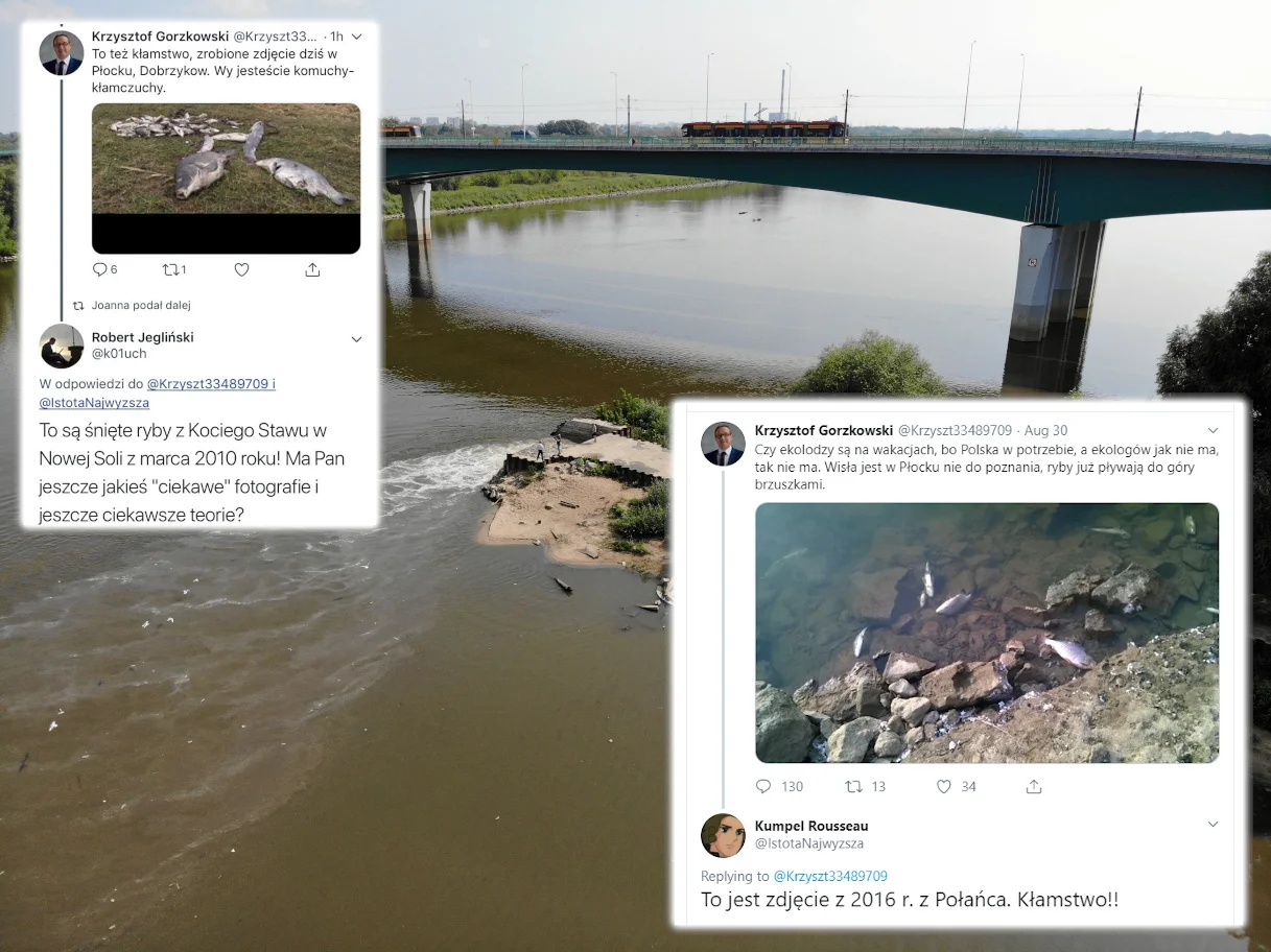 Działacz PiS Z Płocka Krzysztof Gorzkowski straszy martwymi rybami z Wisły. Zdjęcia jednak pochodzą sprzed kilku lat