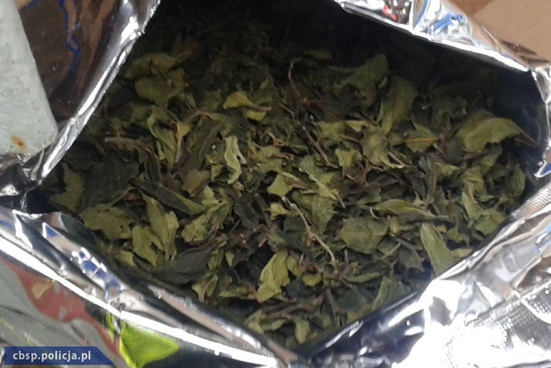 W kontenerze były ponad 3 tony narkotyku