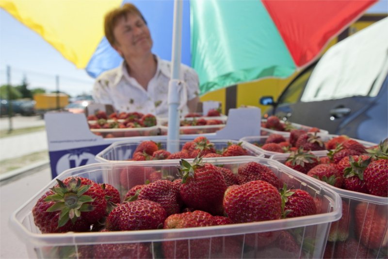Truskawka to królowa wszystkich owoców, tak przynajmniej uważają naukowcy. Co kryje się za ich niepowtarzalnym smakiem i aromatem? Odpowiedź jest prosta.