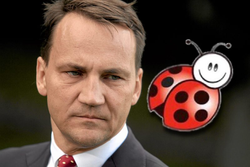 Radosław Sikorski Twittował o Biedronce