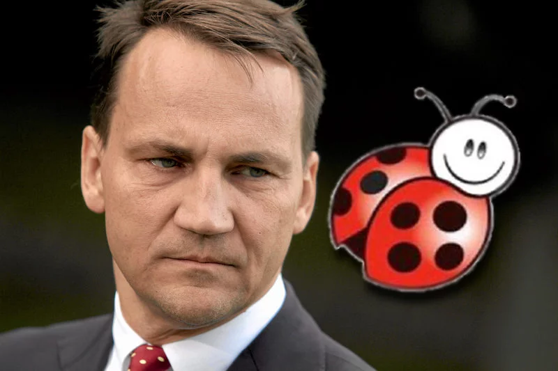 Radosław Sikorski Twittował o Biedronce