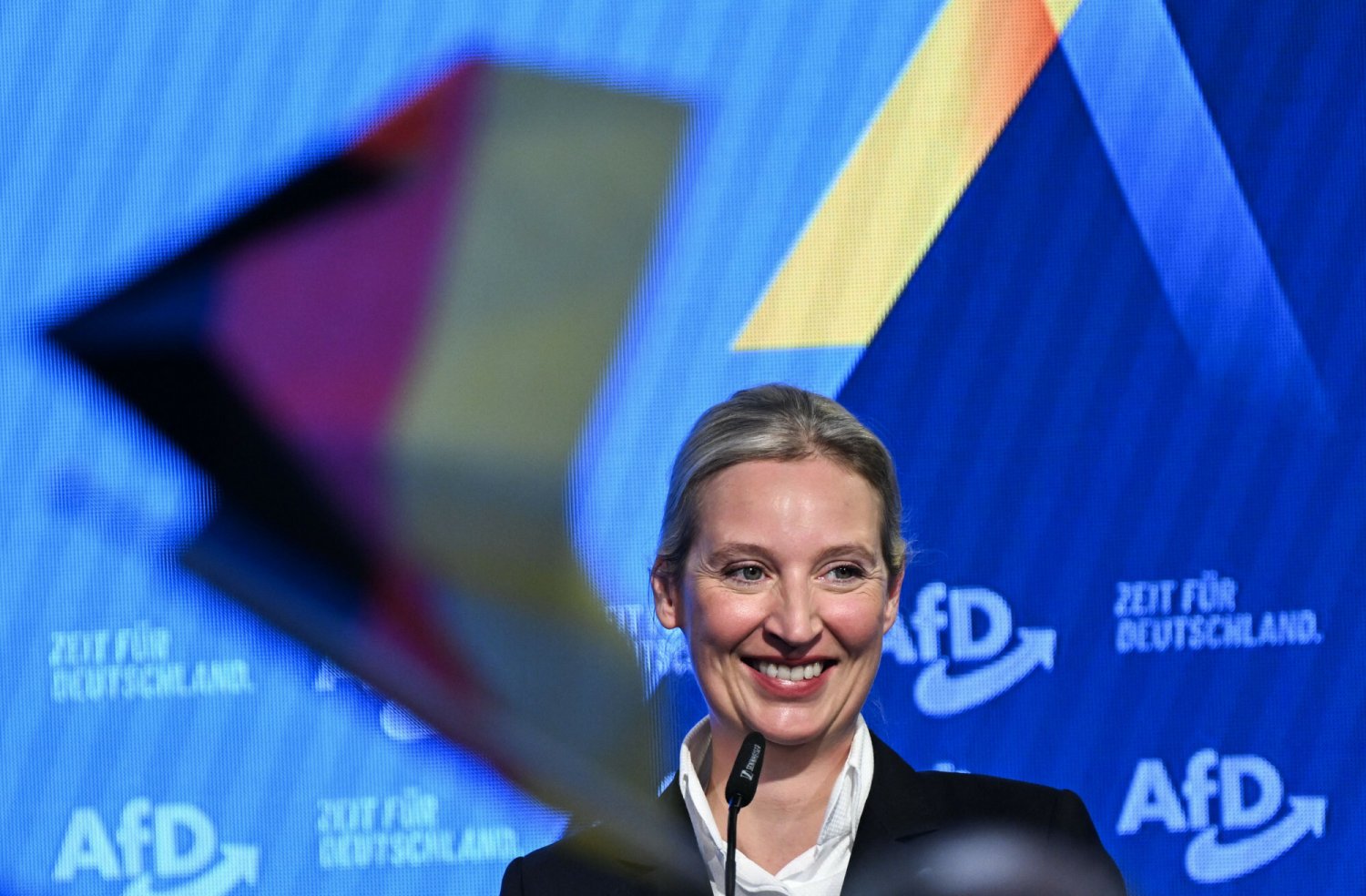 Alice Weidel stoi na czele AfD. Kim jest liderka skrajnej prawicy w Niemczech?