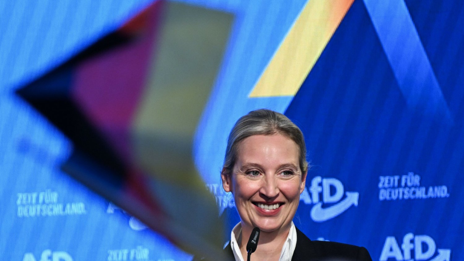 Alice Weidel stoi na czele AfD. Kim jest liderka skrajnej prawicy w Niemczech?