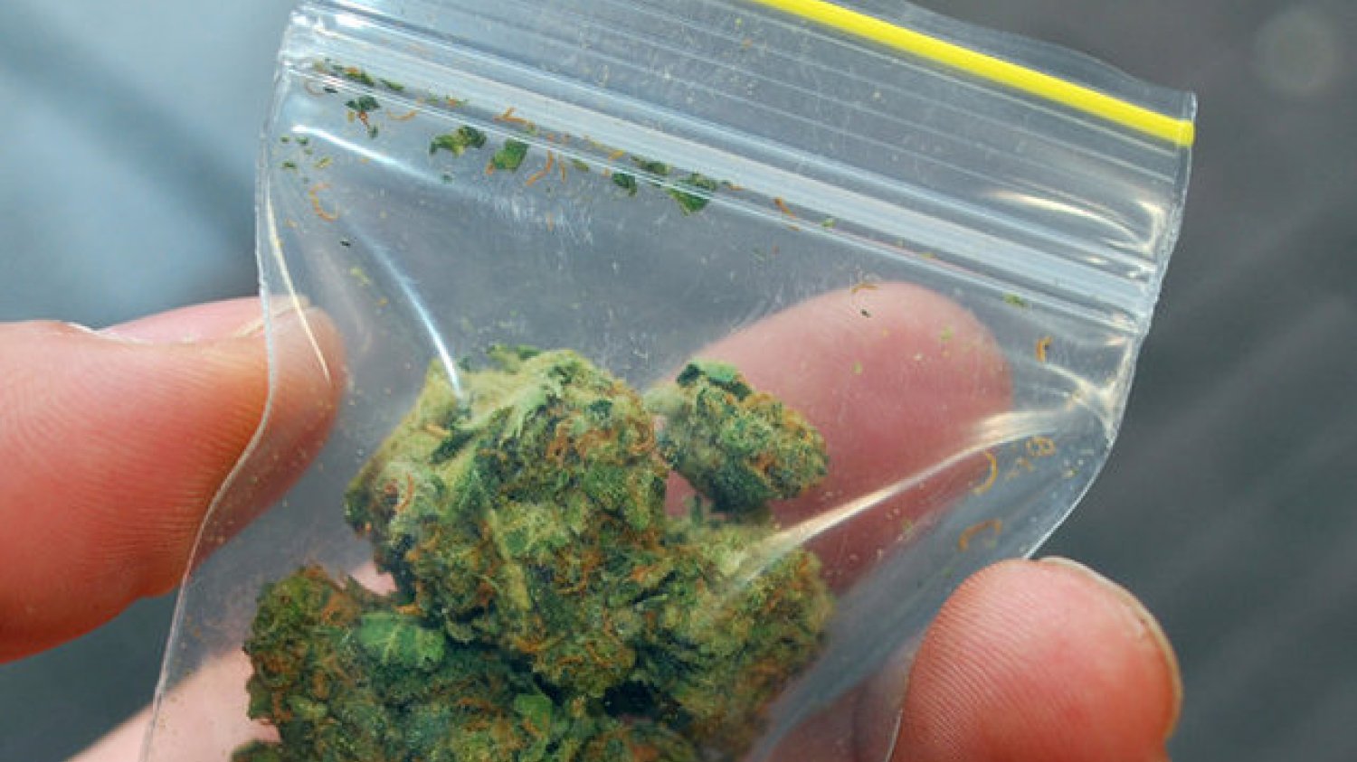 Władze Kolorado przekonują, że po legalizacji marihuany mniej uczniów ją używa