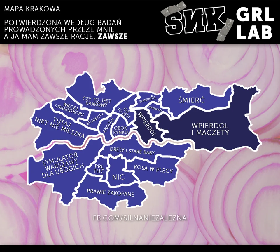 Internautom spodobała się idea tworzenia map miast