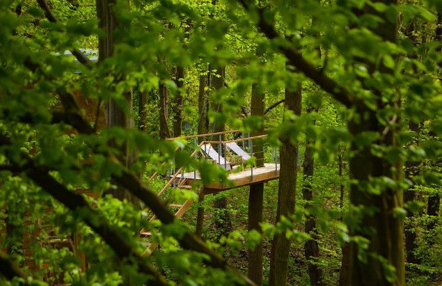 W drzewach - kryjówka w Nałęczowie