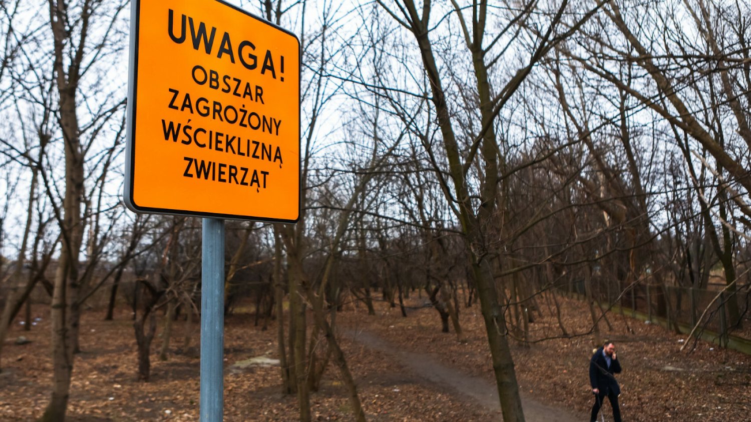 Warszawa została uznana za obszar zagrożenia wścieklizną.
