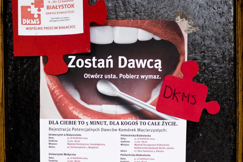 W bazie Fundacji DKMS zarejestrowanych jest ponad 500 tys. potencjalnych dawców szpiku. Wiceprezes fundacji przekonuje, że kandydatów, którzy w ostatniej chwili się wycofali, można policzyć na palcach jednej ręki.