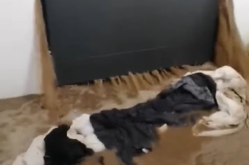 Powódź błyskawiczna zalała dom w kilka minut. W sieci pojawiło się nagranie.