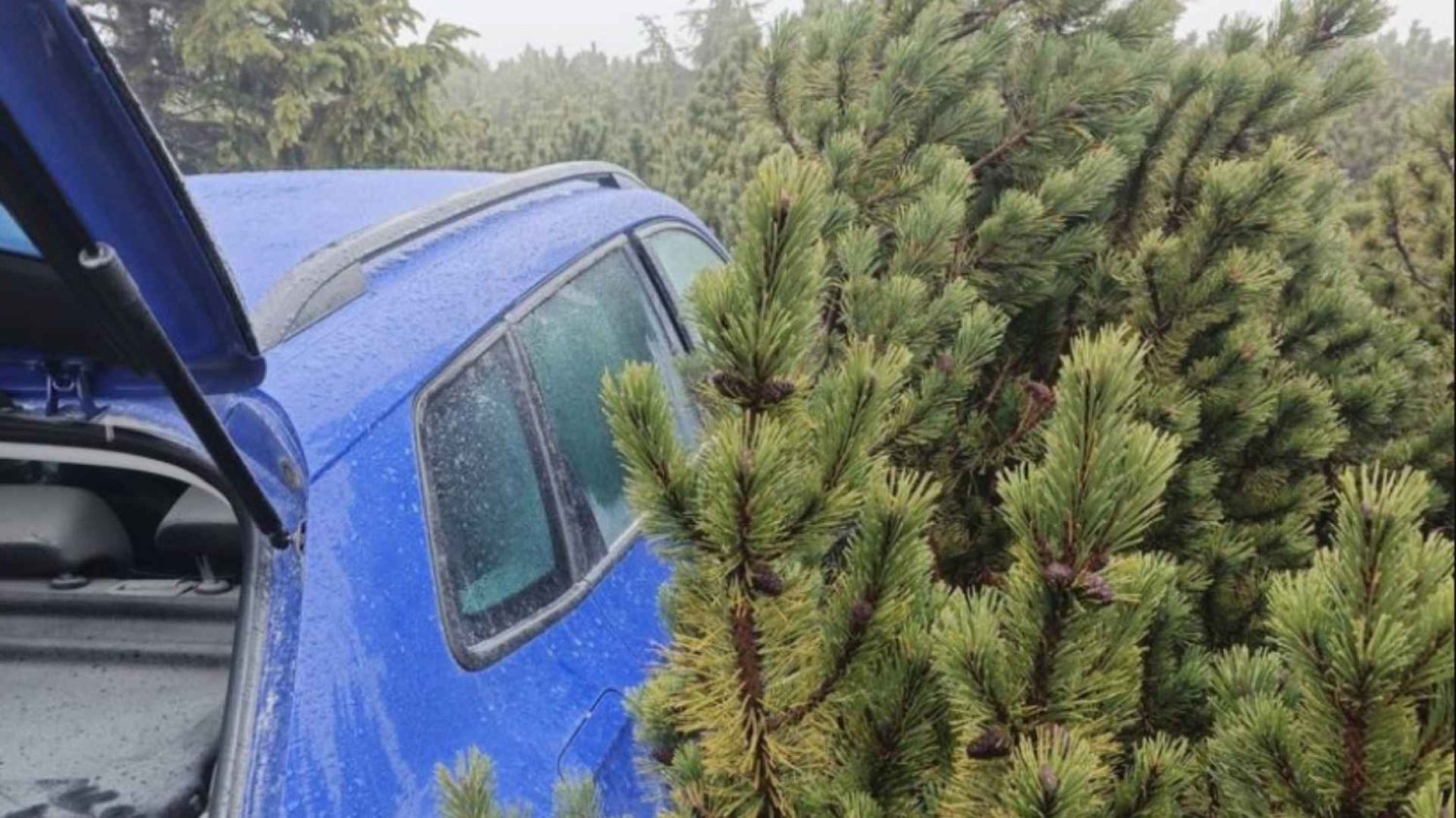 Policja pochwaliła się, że znalazła skradzione auto. Nie zgadniecie, gdzie było. Skoda odnaleziona pod Śnieżką.