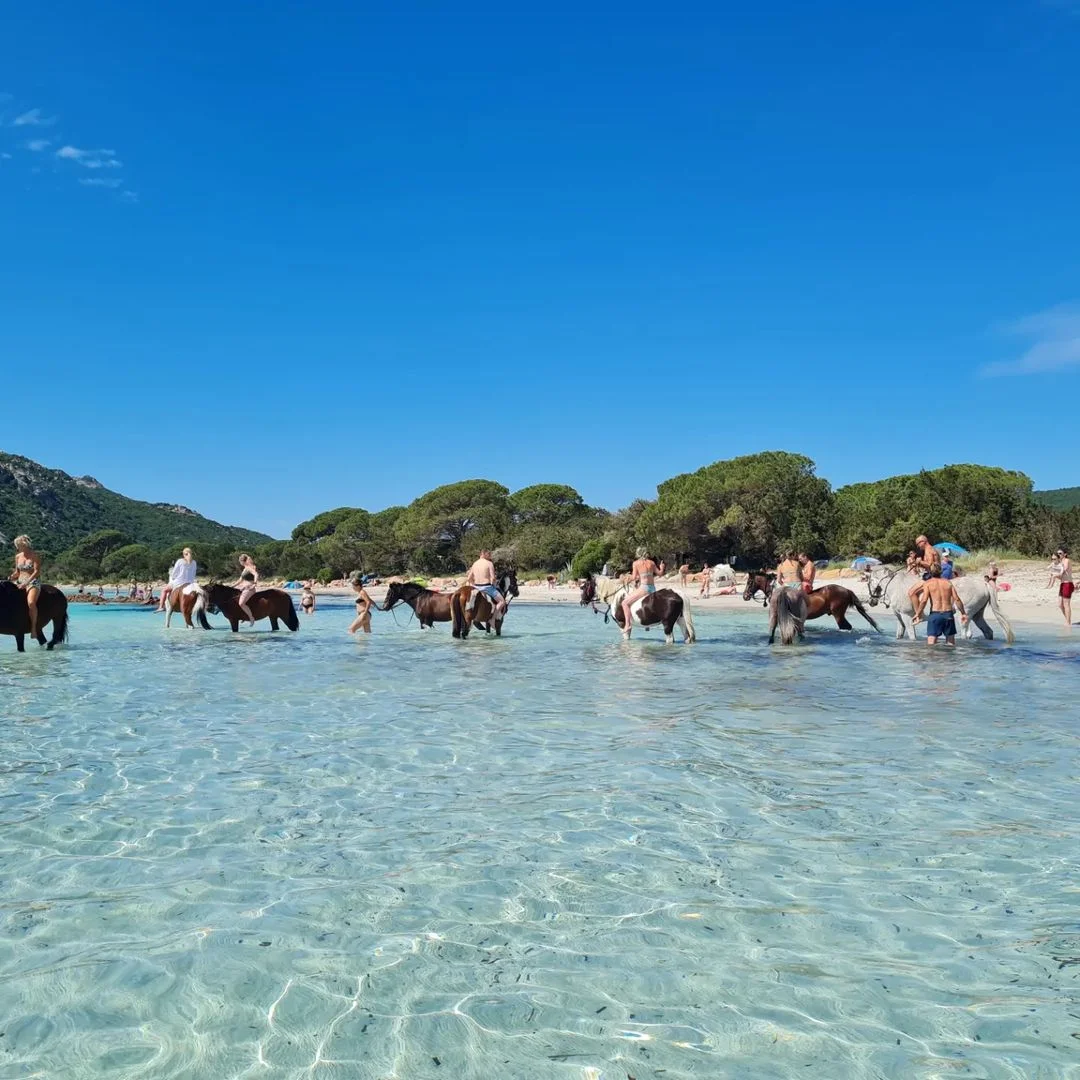 Plaża Santa Giulia - rajska plaża na Korsyce Plaża Santa Giulia - rajska plaża na Korsyce