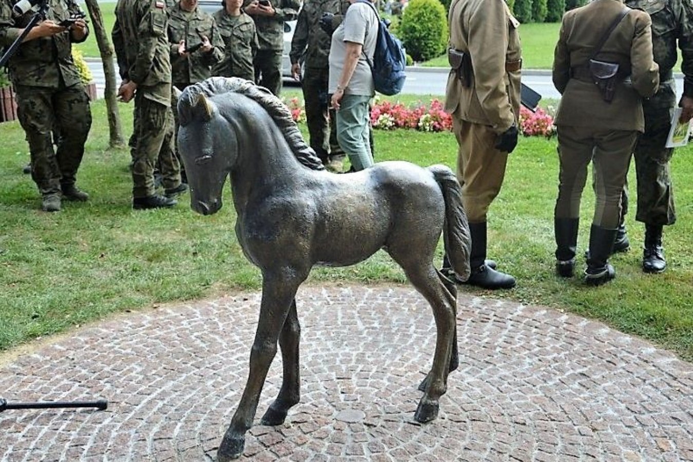 Mała Kasztanka w Miechowie.