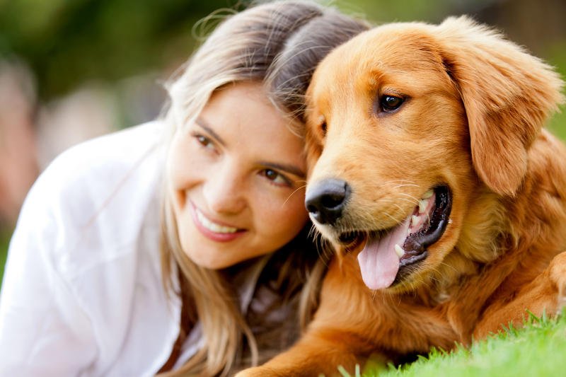 Pies kocha człowieka, tak samo jak właściciel darzy uczuciem swojego pupila.