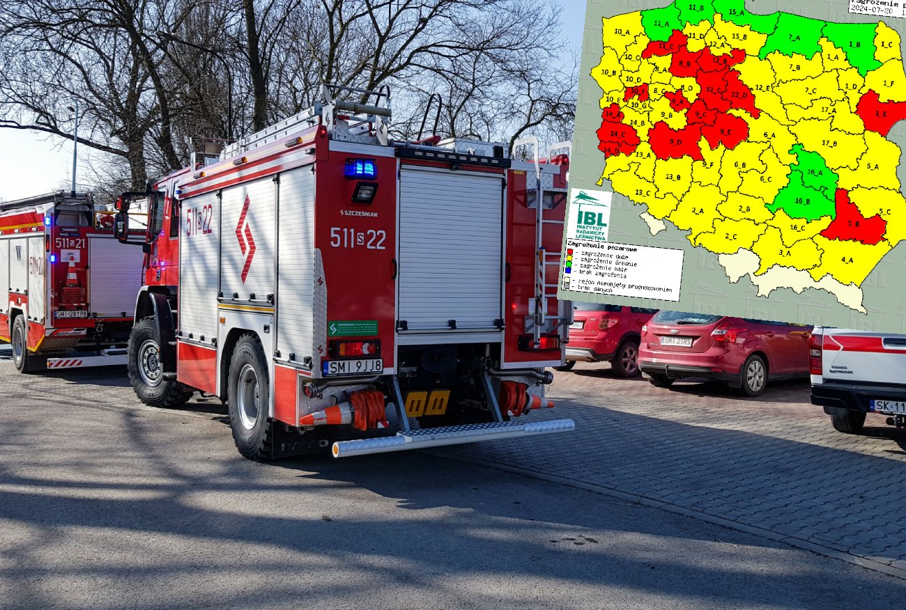 Pogoda. Seria pożarów w Europie. Zagrożenie dotarło także do Polski.