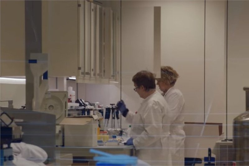 Islandia walczy z koronawirusem.