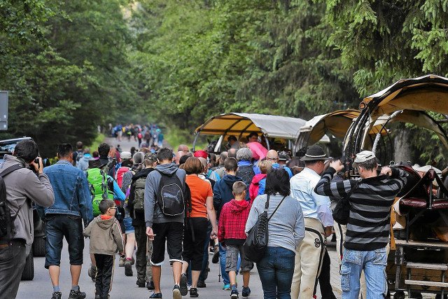 Fasiągi ciągnięte przez konie to od lat atrakcja dla turystów, ale burzę rozpętało jedno zdjęcie w mediach społecznościowych.