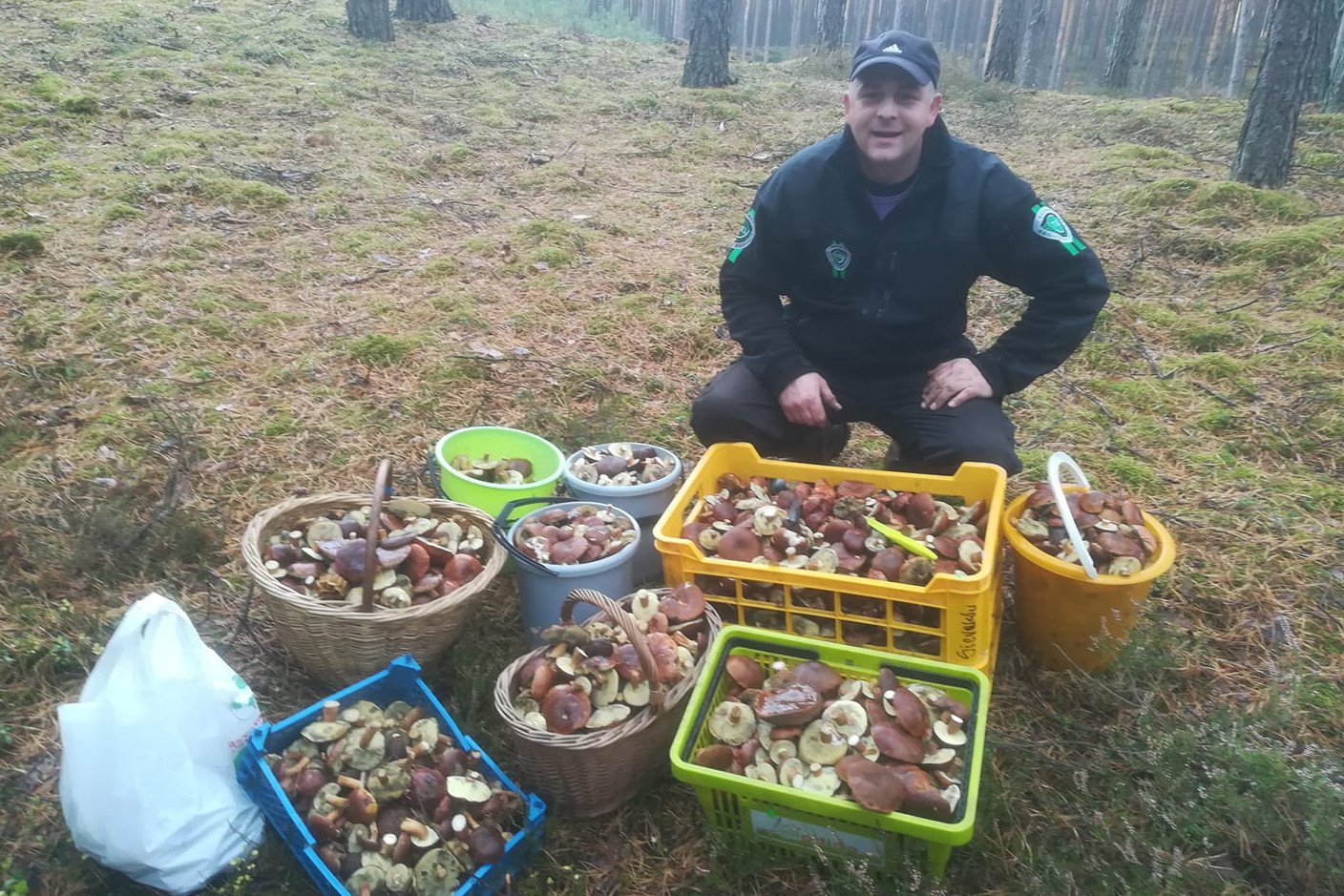 Tak można nazbierać grzybów w Puszczy Noteckiej.