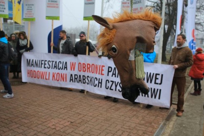 Manifestacja przeciwko odwołaniu prezesów stadnin.
