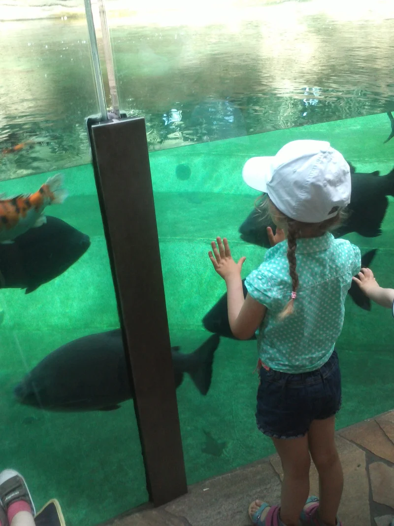 Córka pani Moniki w czasie wycieczki do ZOO.