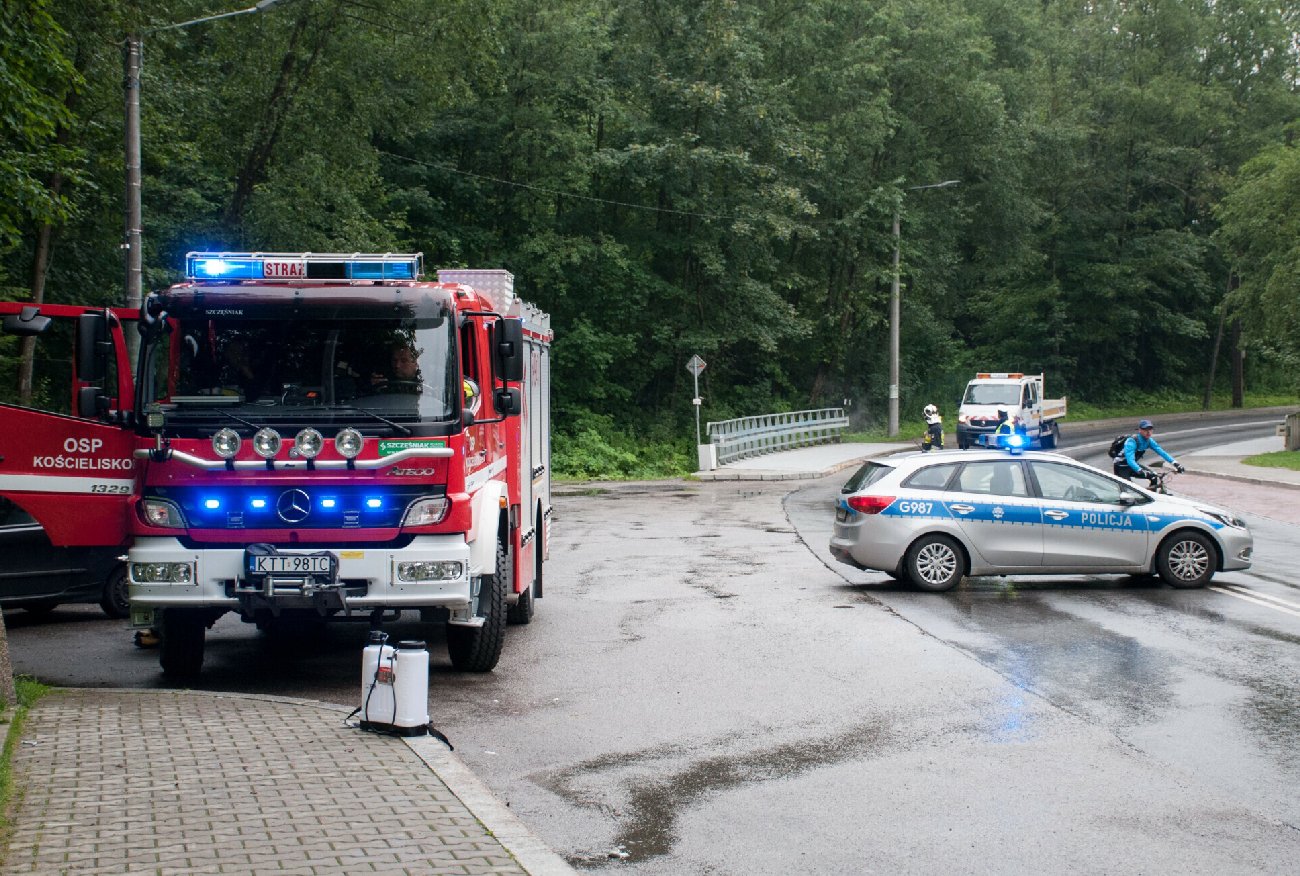 Co się wyprawia w Zakopanem?! Kobieta zginęła, teraz ranne jest dziecko.