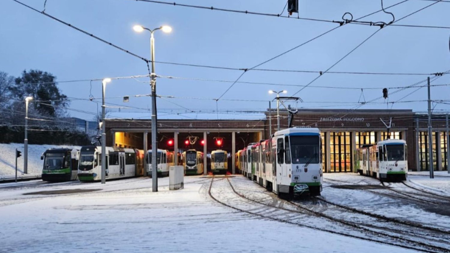 Mróz sparaliżował komunikację, tramwaje w Szczecinie stanęły. Wiadomo, kiedy ruszą