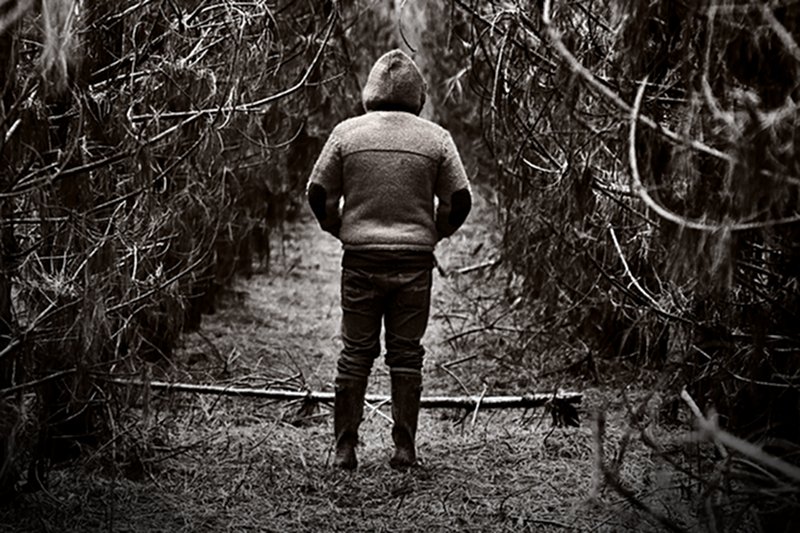 Zdjęcie jest tylko ilustracją do tekstu.