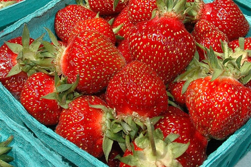 Sezon na truskawki uznajemy za otwarty!