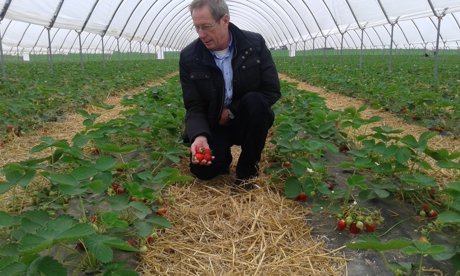 30 września pracownicy spółki AGRO-WAR zostaną bez pracy.