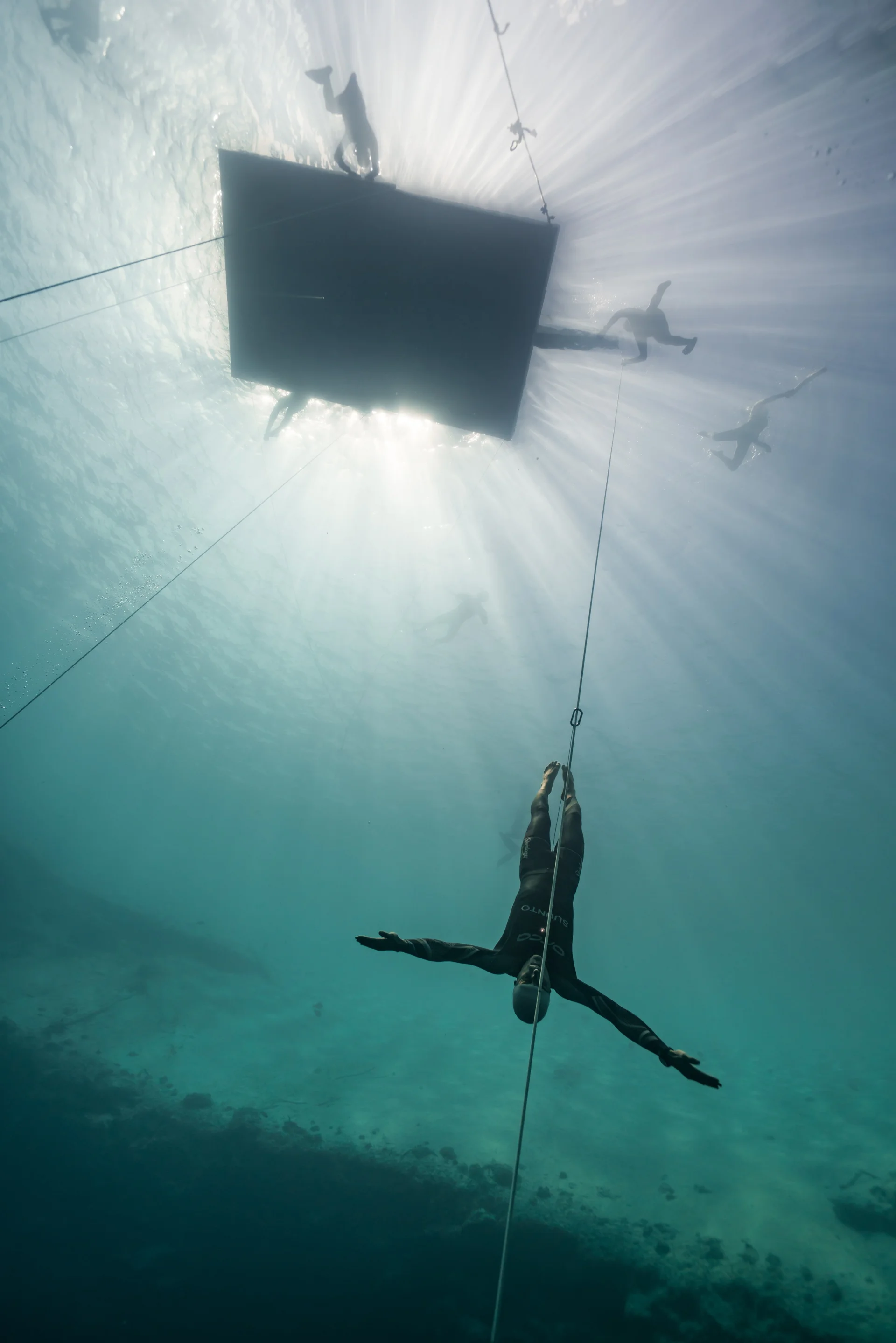 William Trubridge - wielokrotny mistrz świata we freedivingu