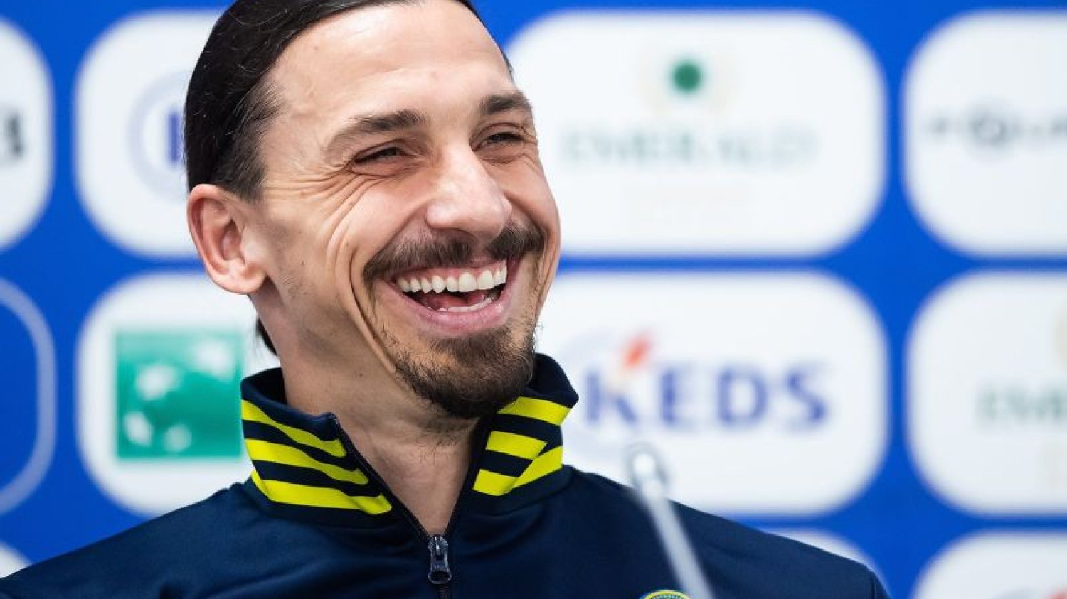 Zlatan Ibrahimović jest fanem polowań i w 2011 roku w Afryce zabił lwa. W Szwecji zawrzało