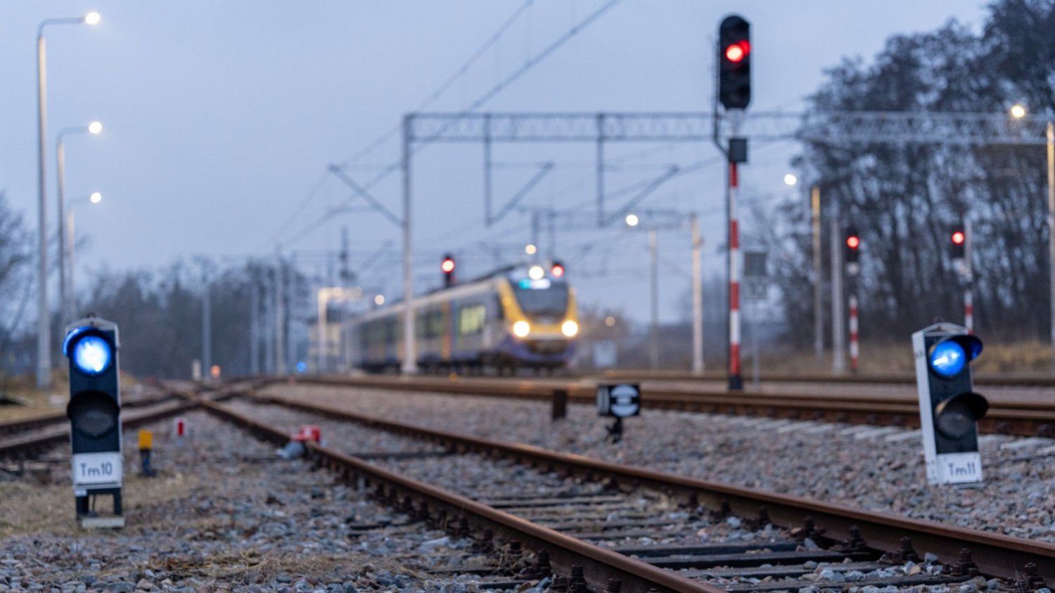 Kluczowy trop po incydencie pod Puławami. "Sieć została dokładnie przecięta"