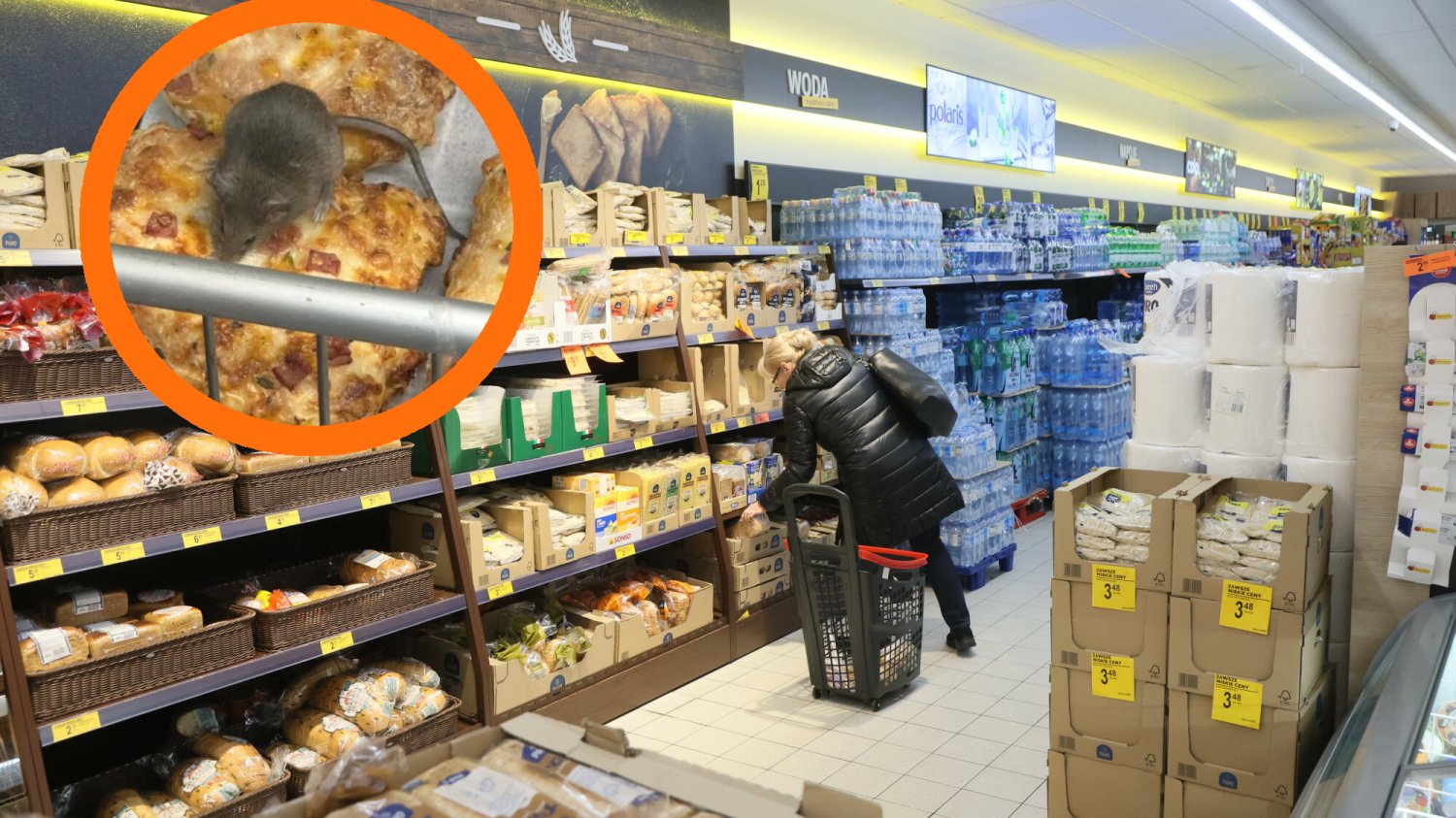 Biedronka w Ostrowie Wielkopolskim zamknięta. Zalęgły się tam myszy Mysz w Biedronce. Zdjęcie, które doprowadziło do zamknięcia sklepu