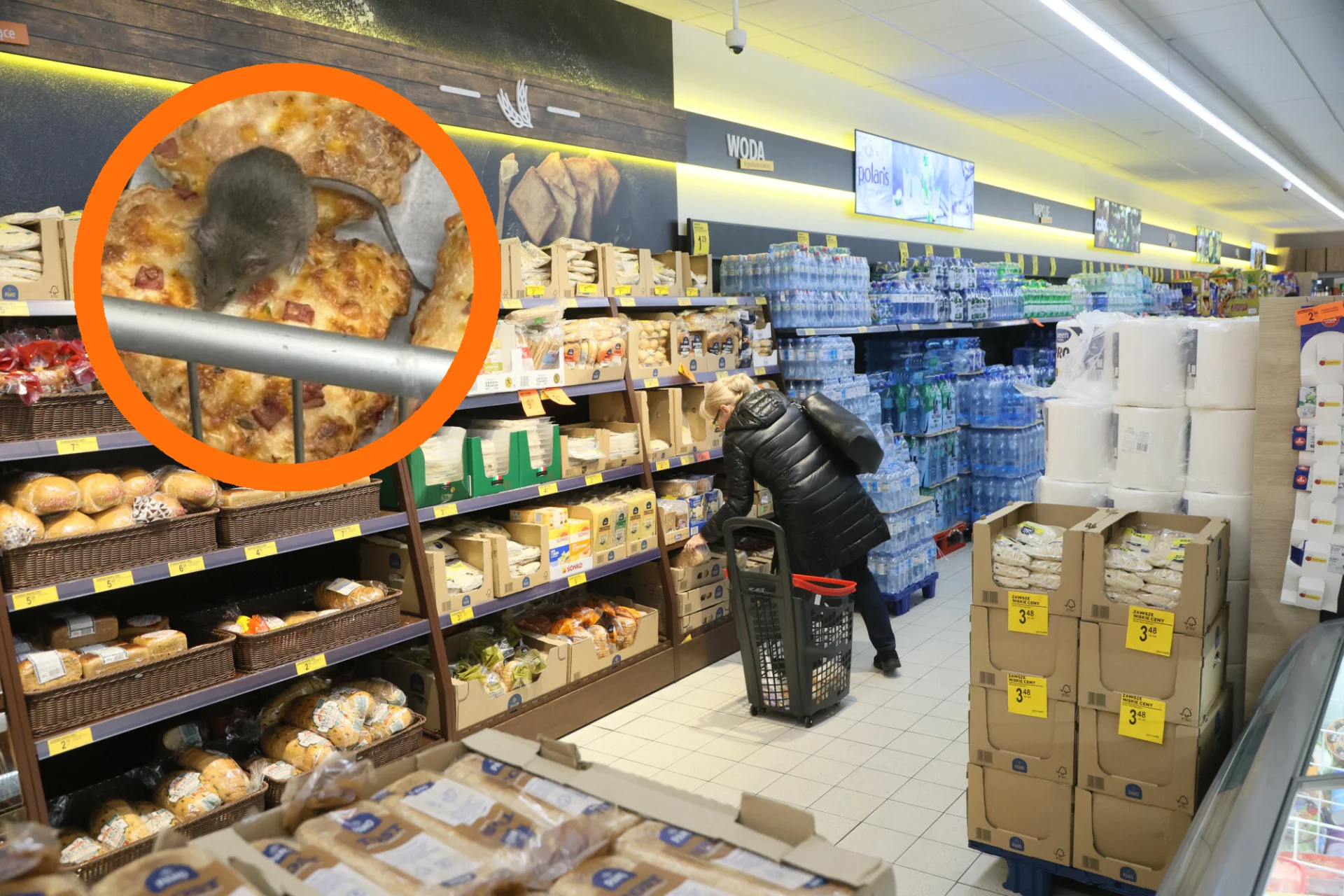 Biedronka w Ostrowie Wielkopolskim zamknięta. Zalęgły się tam myszy Mysz w Biedronce. Zdjęcie, które doprowadziło do zamknięcia sklepu