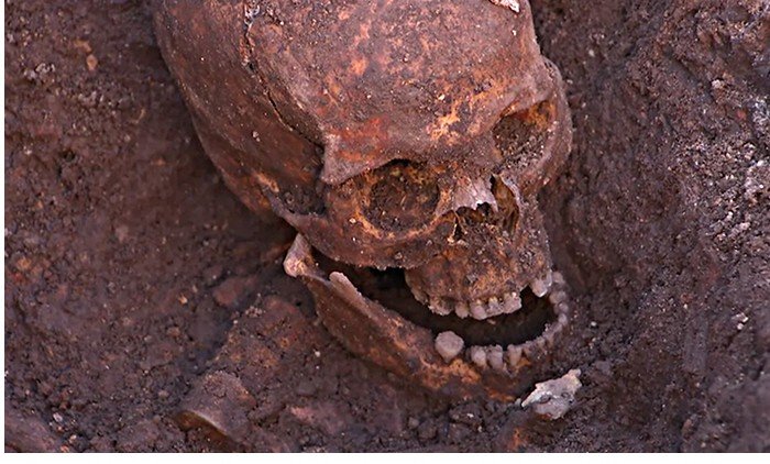Odnaleziona czaszka Ryszarda III.