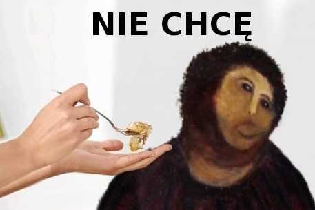 Jeden z obrazków wyśmiewających "poprawkę"