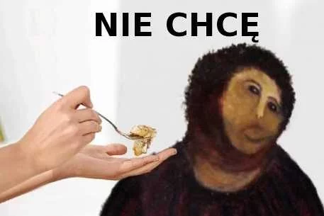 Jeden z obrazków wyśmiewających "poprawkę"