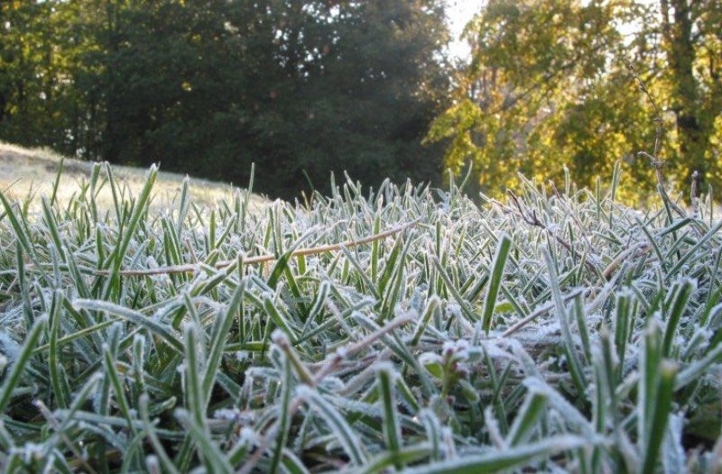 Prognoza pogody: IMGW wydało ostrzeżenie przed nocnymi przymrozkami.